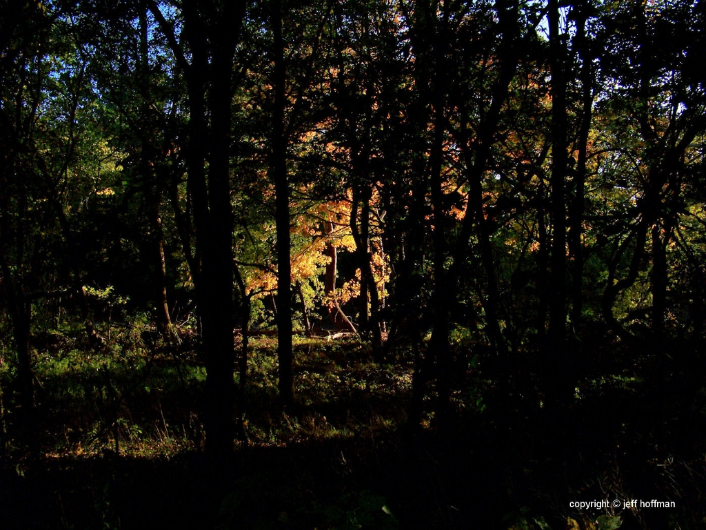 home_10-12-08 119